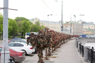 Aşk kilitleri ağaçlarıyla. Düğün geleneği