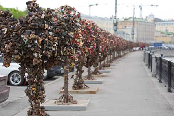 Aşk kilitleri ağaçlarıyla. Düğün geleneği