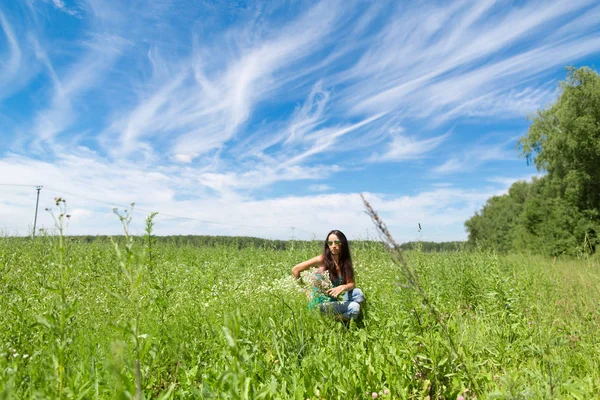 Céu azul e campos verdes no campo — Fotografia de Stock