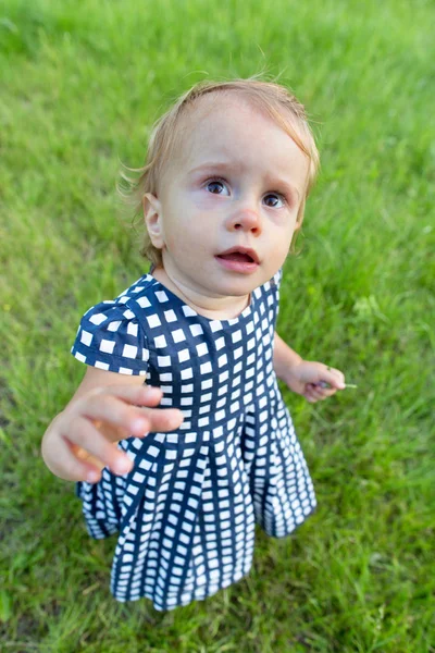 Menina em um fundo de grama verde. Visão superior ângulo largo — Fotografia de Stock