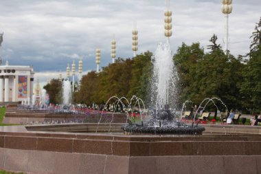 31 Ağustos 2016. Rusya, Moskova, Fuar.