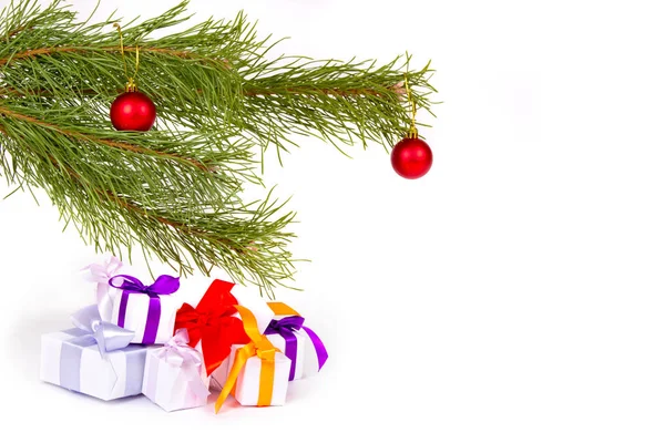 Un ensemble de cadeaux de Noël sous des branches de sapin sur fond blanc — Photo