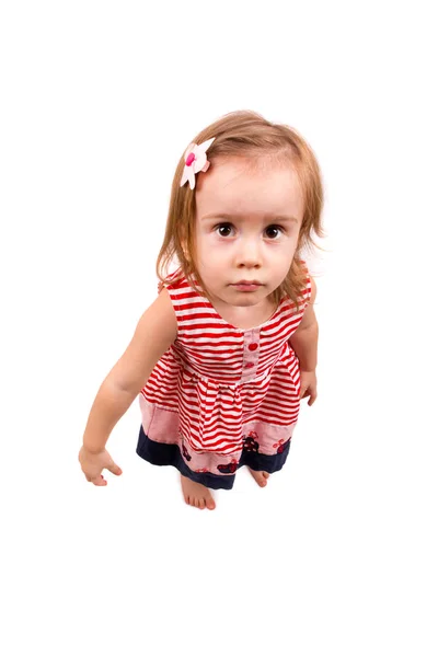 Ritratto Bambina Sfondo Bianco — Foto Stock