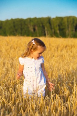 Küçük kız tahıl alanları yürüyüş