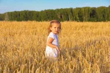 Küçük kız tahıl alanları yürüyüş