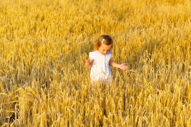 Küçük kız tahıl alanları yürüyüş