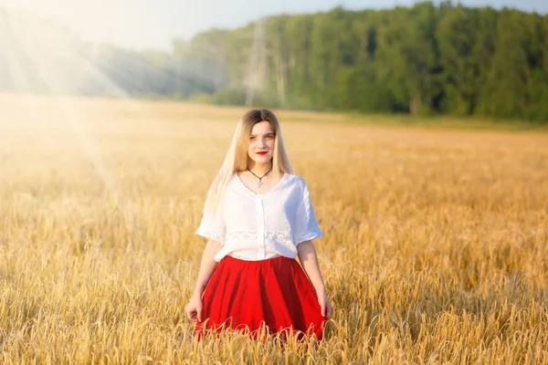 Menina Encantadora Traje Tradicional Caminha Campo Dos Cereais — Fotografia de Stock