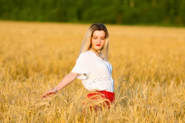 Menina Encantadora Traje Tradicional Caminha Campo Dos Cereais — Fotografia de Stock