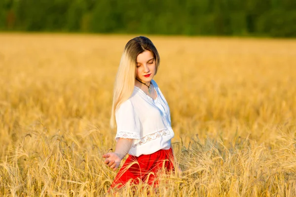 Menina Encantadora Traje Tradicional Caminha Campo Dos Cereais — Fotografia de Stock