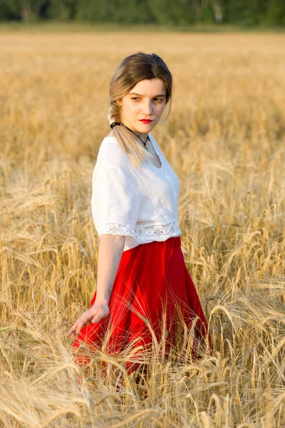 Menina Encantadora Traje Tradicional Caminha Campo Dos Cereais — Fotografia de Stock