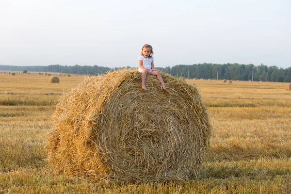 Menina Caminhando Nos Campos Grãos — Fotografia de Stock