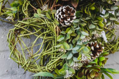 Firavun ağacı yeşil dalları mükemmel bir tatil süsü olarak.