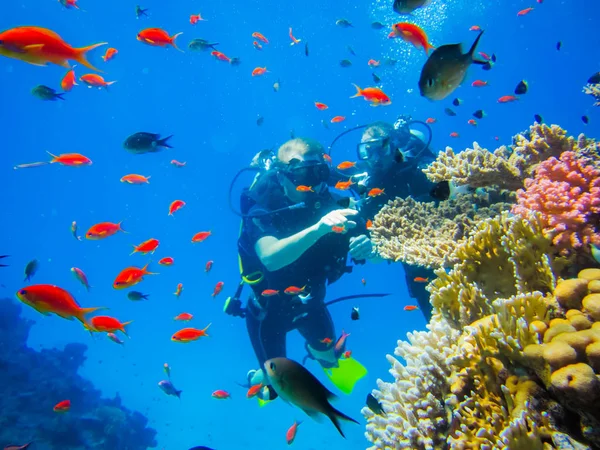 エジプトでのサンゴ礁でのダイビング — ストック写真