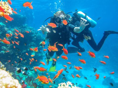 Kızıldeniz Dalış. Turistik