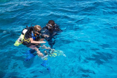 Scuba dalış Red Sea'deki/daki