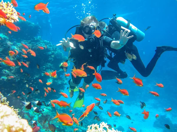 Kızıldeniz Dalış. Turistik
