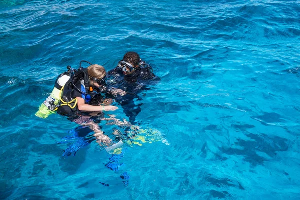 Scuba dalış Red Sea'deki/daki