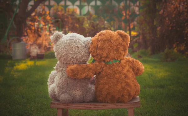 Couple Teddy bears in the garden — Stock Photo, Image