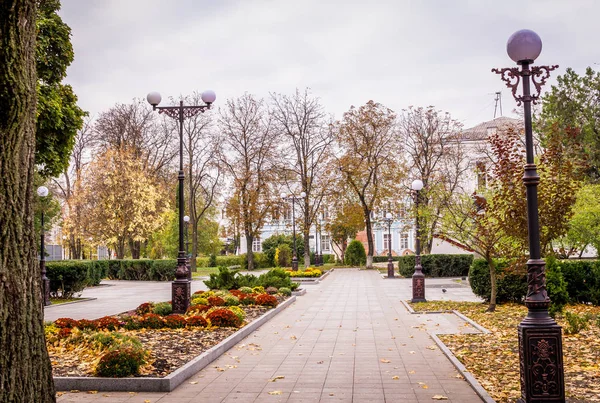 Őszi Lombhullás. Őszi Park üres — Stock Fotó