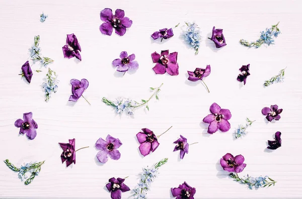 Padrão de flor para cartão de saudação — Fotografia de Stock