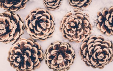 Kış tebrik kartı koniler ile