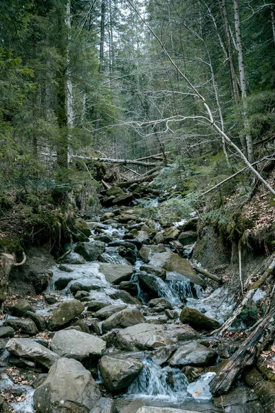 Fjällbäck i Karpaterna i våren — Stockfoto