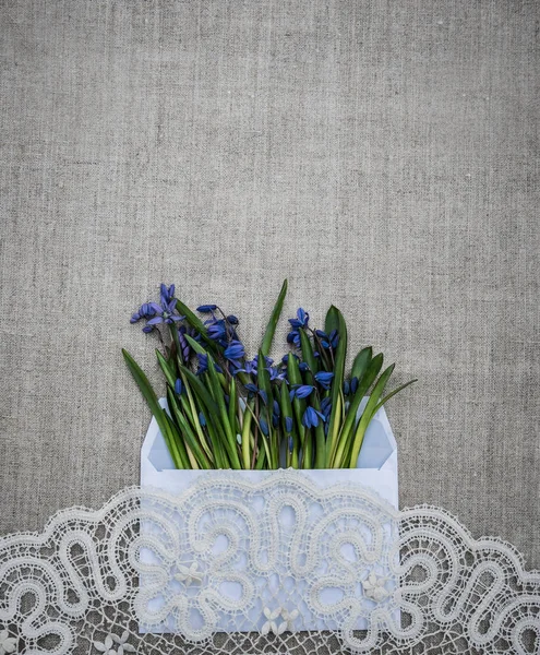 Cartão de Páscoa da Primavera. Renda e primavera flores silvestres — Fotografia de Stock