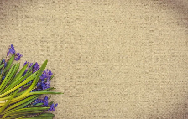 봄 꽃과 함께 부활절 카드입니다. 블루 씰 라와 린 넨 원단 — 스톡 사진