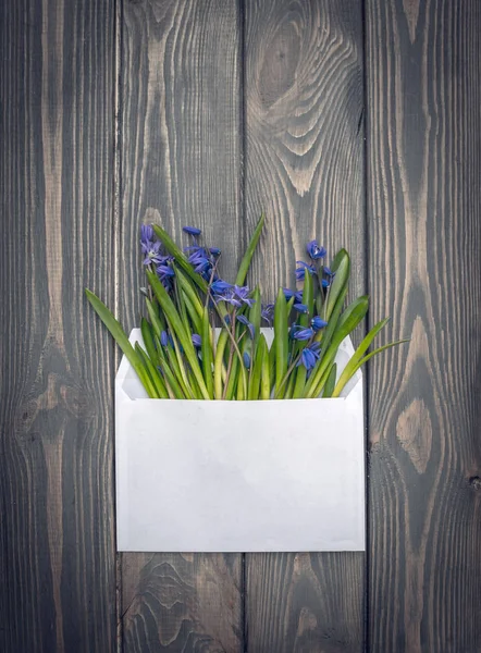 Cartão de convite romântico primavera. envelope branco e flores silvestres — Fotografia de Stock
