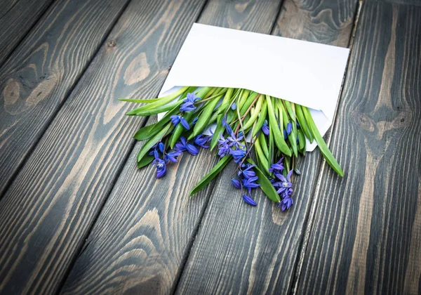 Cartão romântico de primavera. Envelope de correspondência e flores silvestres — Fotografia de Stock
