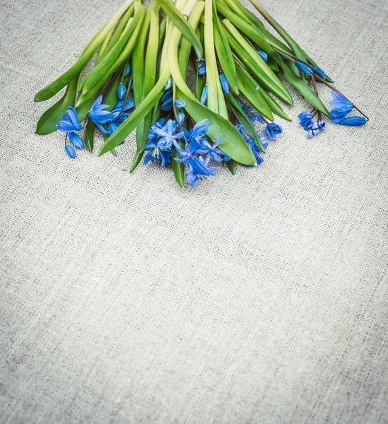 Biglietto di Pasqua festivo con fiori primaverili. Scilla blu e tessuto di lino — Foto Stock