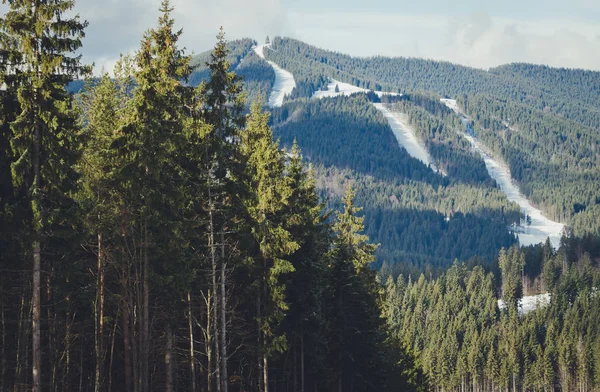 喀尔巴阡山脉的全景。滑雪场的山水松林 — 图库照片