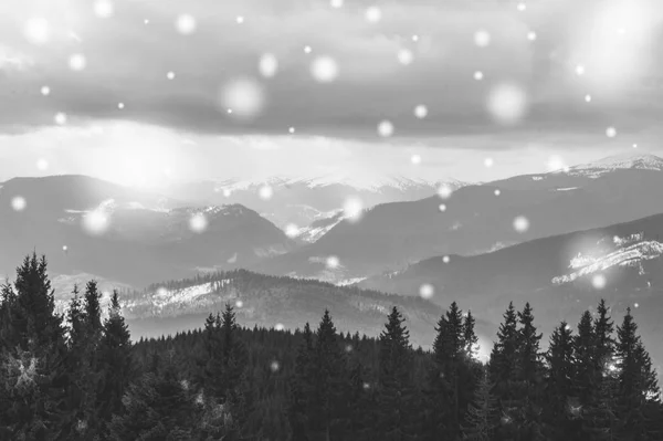 黑白照片。喀尔巴阡山冬季的全景 — 图库照片