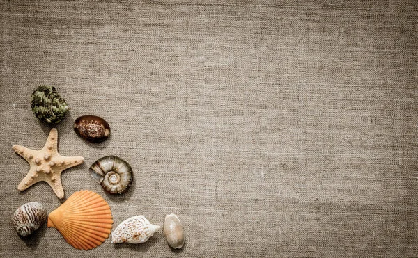 เปลือกหอยและผ้าลินิน การ์ดฤดูร้อนในสไตล์ย้อนยุค — ภาพถ่ายสต็อก