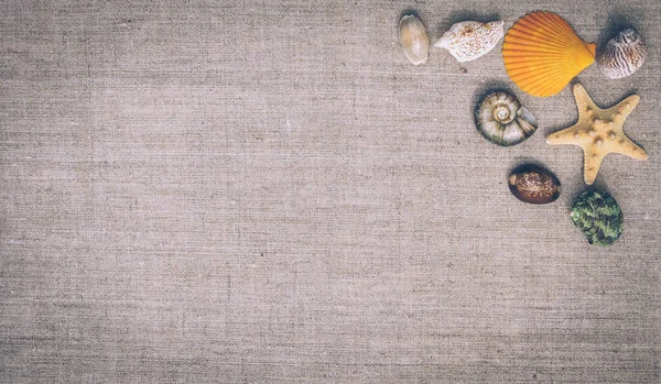 ผ้าลินินและเปลือกหอย พื้นหลังสําหรับการ์ดฤดูร้อน — ภาพถ่ายสต็อก