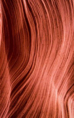 Taş duvar alt antilop Kanyonu