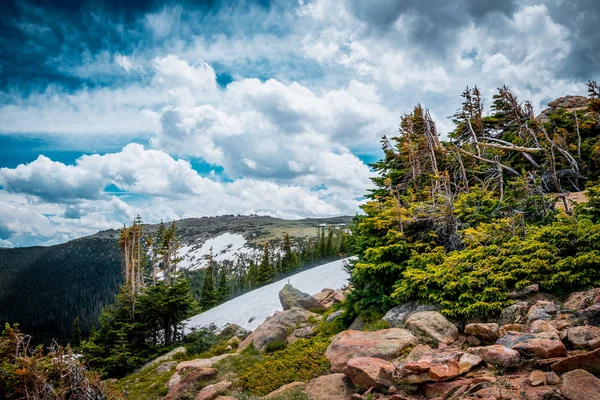 ロッキー山脈の夏の雪。コロラド州、アメリカ合衆国 — ストック写真