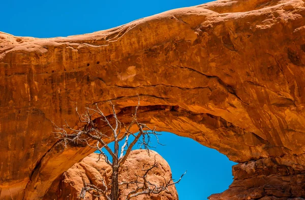 Turistik ABD. Arches National Park kurak Moab çölde