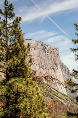 Yosemite Milli Parkı, California yaz gezisi. Pitoresk Vadisi ve kayalar