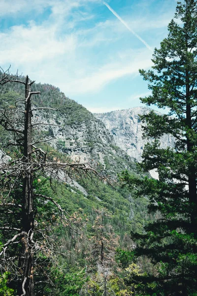 Nyári Kirándulás Yosemite National Park Kalifornia Festői Völgyben Sziklák — Stock Fotó