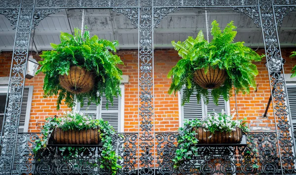 Pintorescas casas privadas en el Barrio Francés. Balcón y rejilla de hierro forjado. Arquitectura tradicional de la vieja Nueva Orleans — Foto de Stock