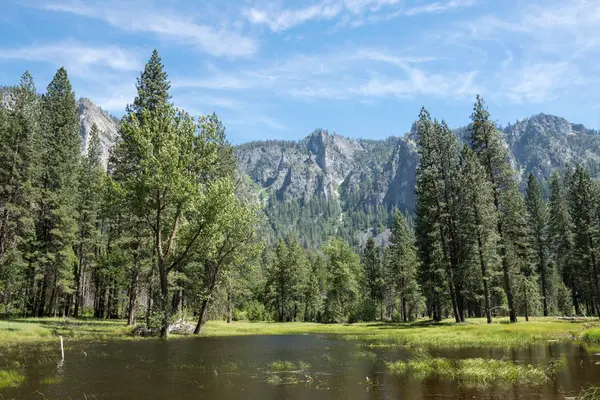 Λιβάδια και λίμνες στην κοιλάδα Yosemite το καλοκαίρι — Φωτογραφία Αρχείου