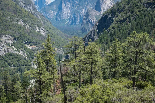 Δάση και βράχια στην κοιλάδα Yosemite — Φωτογραφία Αρχείου