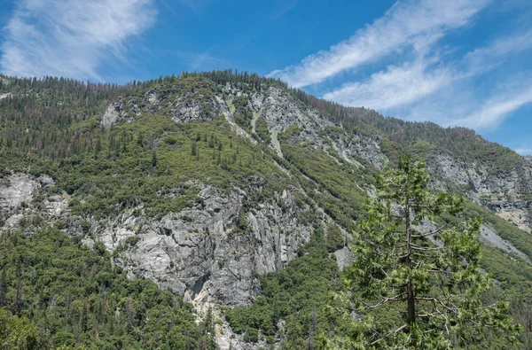 Hegyek és erdők a Yosemite Nemzeti Park — Stock Fotó
