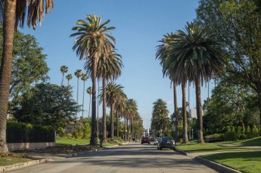 Los Angeles, Kaliforniya, ABD - 21 Mart 2017: Avuç içi ve Los Angeles sokaklarında. Pasadena şehir yaşamında. Yeşil çimenler, tropikal palmiye ağaçları ve araçların yolda. Rahat konut çeyrek