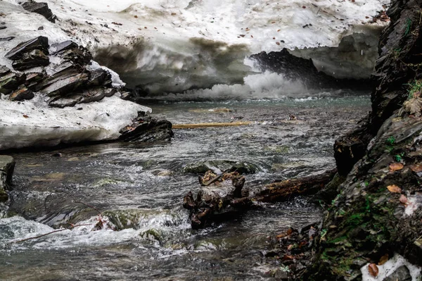 melting of the snow in the mountains. Cold mountain water flow. Nature reserve in the Carpathian Mountains. The nature of Europe