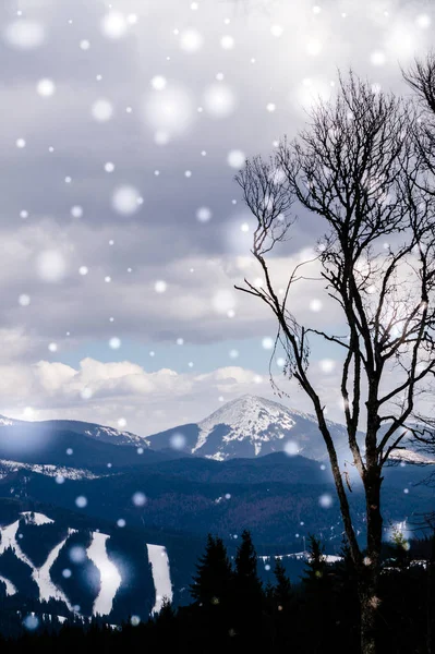 喀尔巴阡山区的冬季降雪量。冬季滑雪胜地 — 图库照片