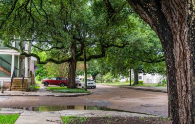 New Orleans, Louisiana, Amerika Birleşik Devletleri - 25 Haziran 2017: Fransız Mahallesi, New Orleans, Louisiana, ABD turist dönüm noktası. Eğlence turistler için bir binicilik atlı arabası Fransız Mahallesi sokakta olduğunu. New Orleans eski sokaklarında Tur