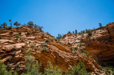 Kumtaşı Zion National Park, Utah, ABD jeolojik oluşumlar