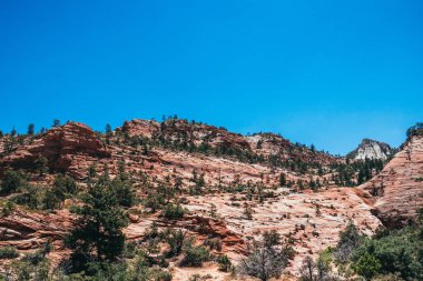 Cliffs Zion National Park, ABD